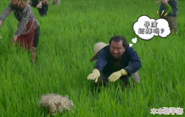 中外处破与摘花：网友热议“这不仅是文化的碰撞，更是心灵的交融”引发深思