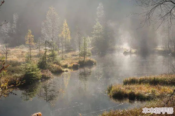 桃花仙洞芳草萋萋水潺潺，感受自然之美与心灵的宁静交融