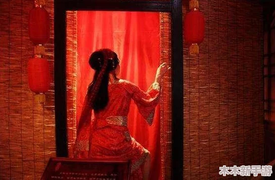 青楼传媒：见解与思考，探讨古代风流文化的当代影响和价值