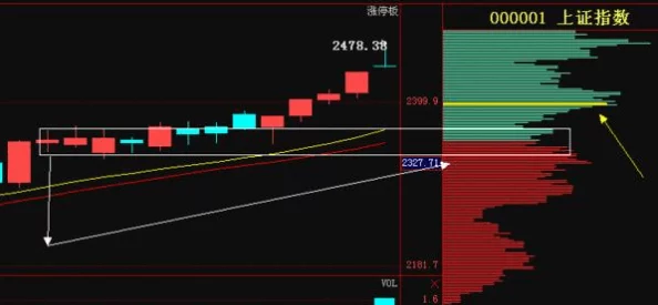 掌握如鸢华佗命盘精髓：个性化推荐与实战策略全攻略