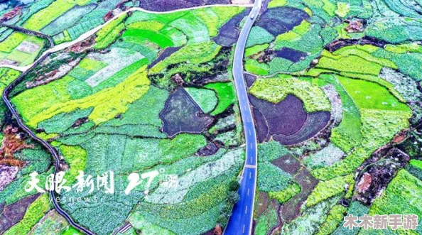 春日限定：魔力宝贝旅人探索樱花料理创意配方与精致制作方法指南