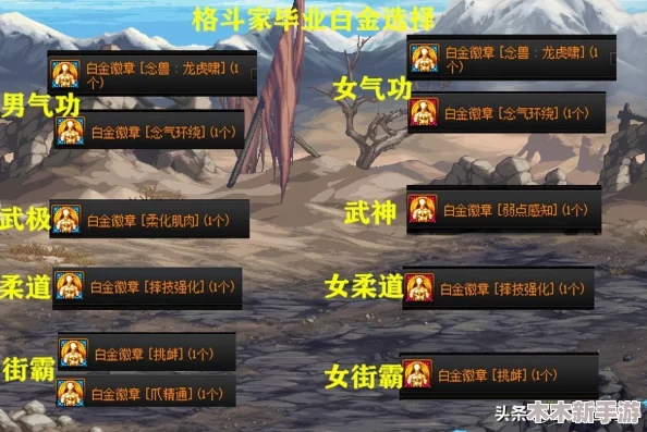 DNF武神职业属性选择指南：揭秘最佳强化路径，打造极致输出角色