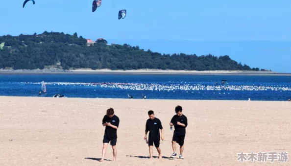 2024年夏季热门游戏精选：畅游夏日，不可错过的精彩游戏大盘点！