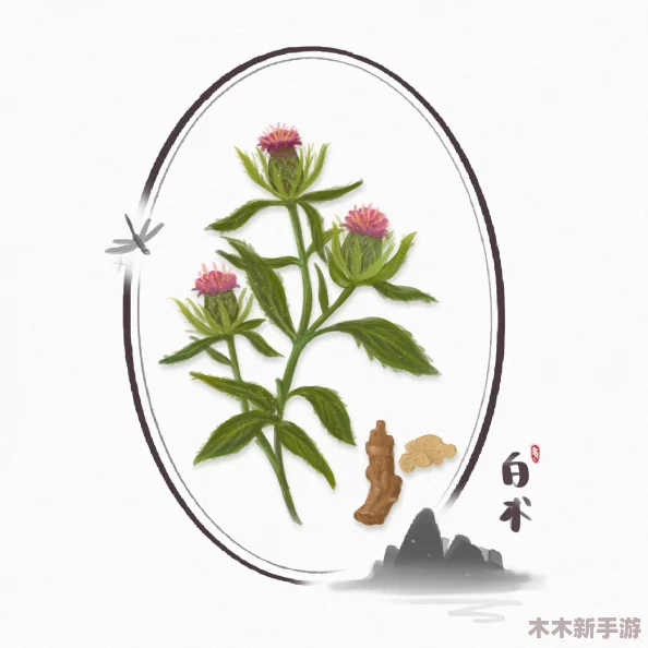 8 8 海外华人免费入口：为海外华人提供便捷服务，值得一试的优质平台
