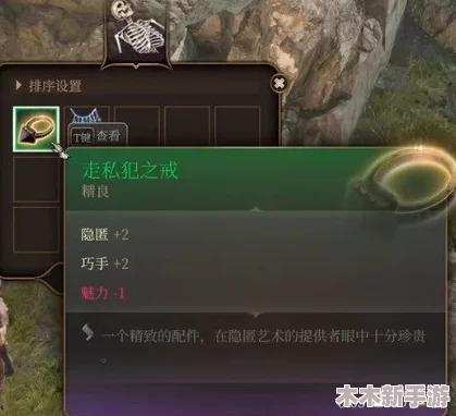 博德之门3：全面剖析散打武僧BD配置策略与实战技巧指南