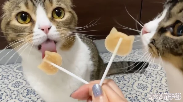 糖心柚子猫甘雨致命的错误：如何避免类似情况再次发生？