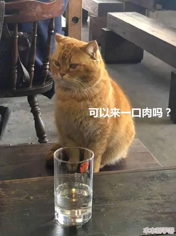 糖心柚子猫甘雨致命的错误：如何避免类似情况再次发生？