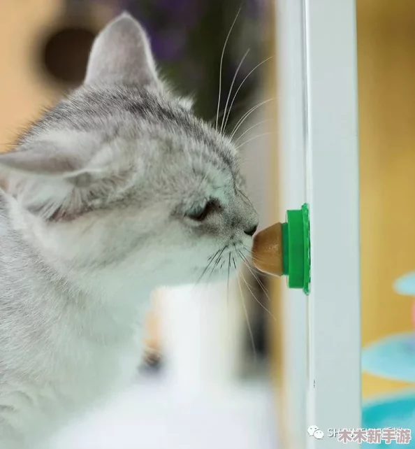 糖心柚子猫甘雨致命的错误：如何避免类似情况再次发生？