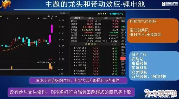 如鸢新手密探：技能、装备与策略，综合强度排行榜单大揭秘！