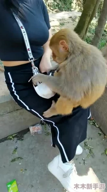 二人生猴子全程不盖被子可以吗？别让＂小棉被＂成为你们之间的＂拦路虎