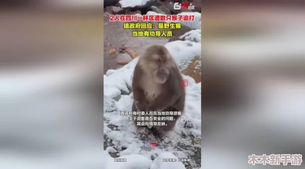 二人生猴子全程不盖被子可以吗？别让＂小棉被＂成为你们之间的＂拦路虎