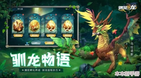 《驯龙高手》全系列T0级五星神龙战力排行与强度深度剖析概览