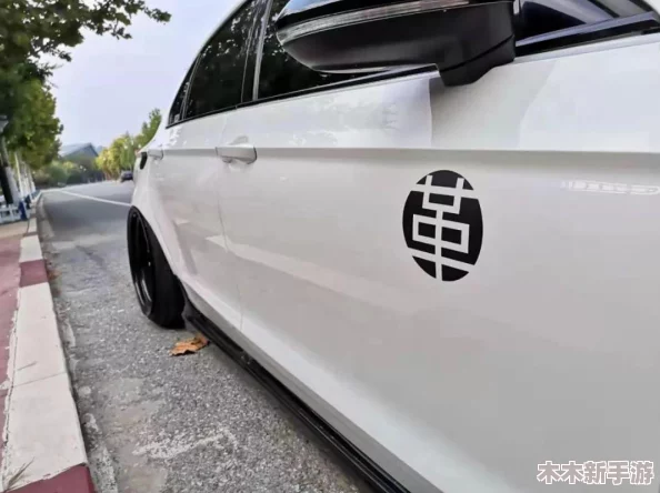 《太极熊猫》终极策略：硬霸组合揭秘，解锁游戏内最强战力搭配之谜！