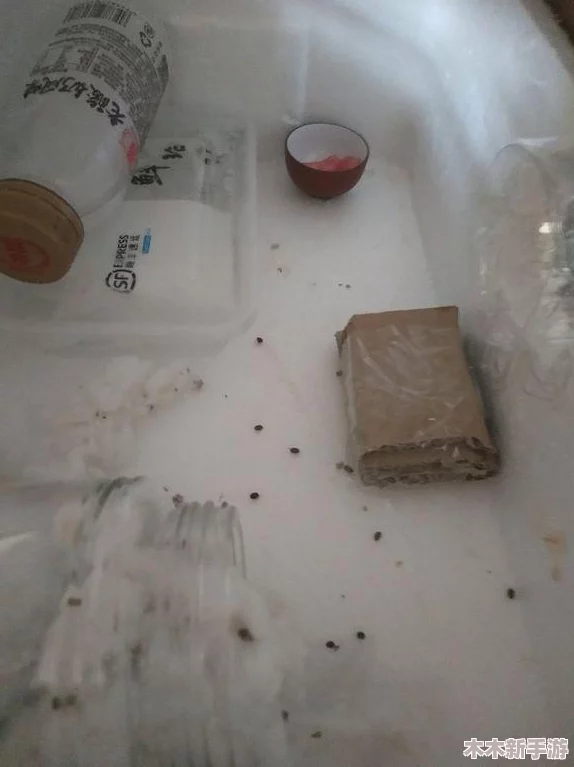 在棉花加冰块等于牛奶(黄)的奇妙公式中探寻自然界的奥秘