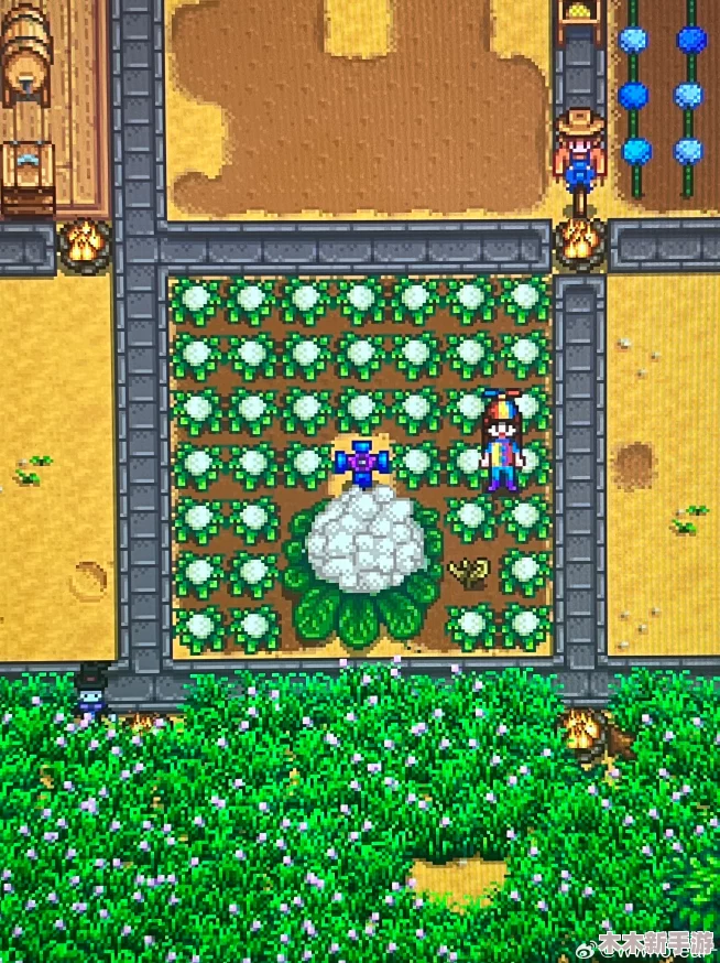 星露谷物语中花椰菜的种植季节与高效栽培策略