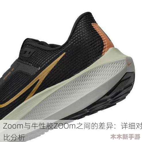 深入解析：Zoom与牛性胶ZOOm之间的奇妙联系与潜伏商机