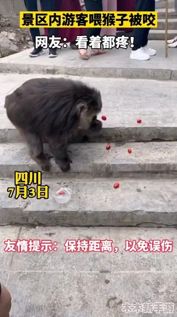 二人生猴子的全程无盖被子：网友热议“生活就该如此搞笑！”引发众人爆笑声。