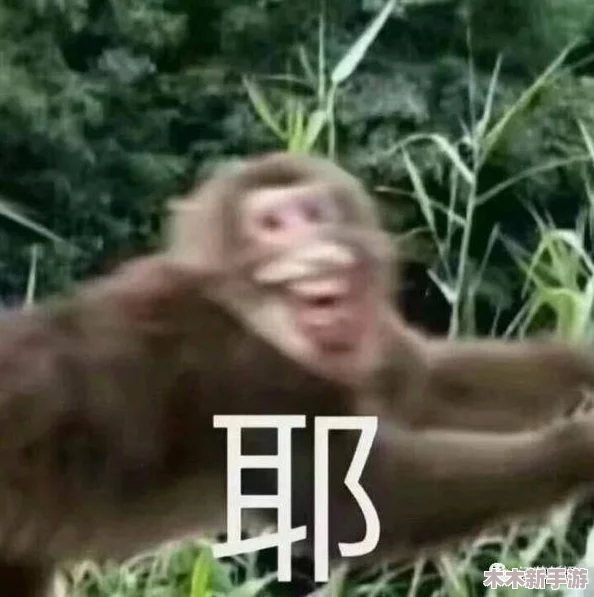 二人生猴子的全程无盖被子：网友热议“生活就该如此搞笑！”引发众人爆笑声。
