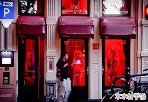 荷兰小妓女BwBwBw：揭示欧洲性产业中的社会现象和文化背景