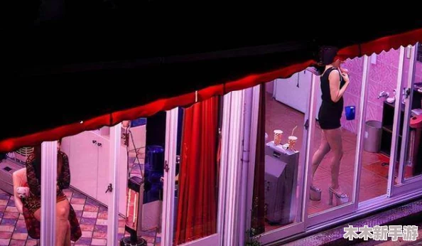 荷兰小妓女BwBwBw：揭示欧洲性产业中的社会现象和文化背景