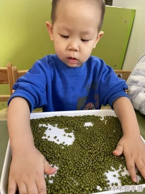 我眼神犀利，巧运豆橛子大挑战：策略满载，将所有宝藏安全带回家！