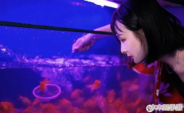 掌握梦幻水族箱喂鱼技巧：全面指南助你成为专业级水族馆守护者