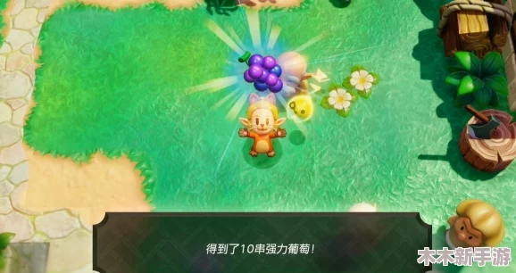 塞尔达传说：智慧之光再现，猫咪指引的独家攻略秘籍