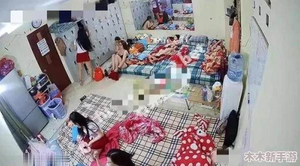 com缅北北部网站：用户体验与内容质量的全面评价，值得一看！