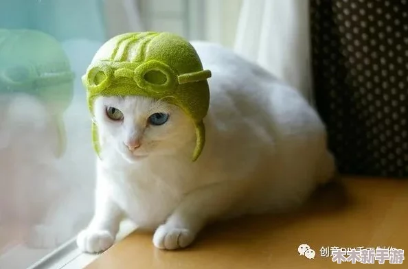 柚子猫糖心：一颗隐藏在外表下的甜蜜秘密