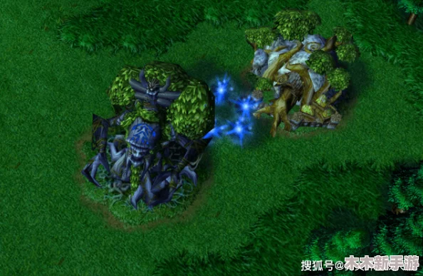 魔兽争霸世界中，探索最微小生物的奇妙之旅
