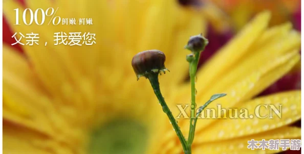 老公生日3q花落归途，感恩岁月的陪伴与成长，共同走过的每一个瞬间都值得珍惜与回忆
