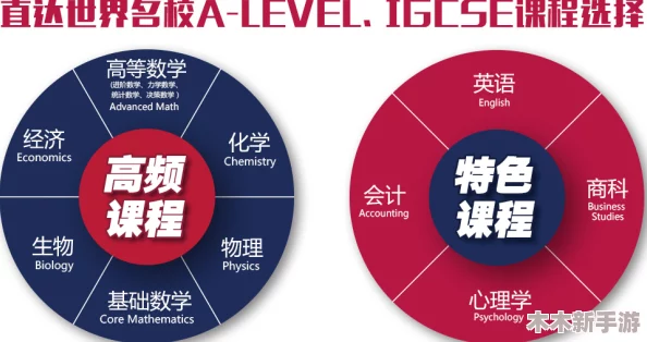 全面探索芯片系统：类型划分与实战效果深度解读