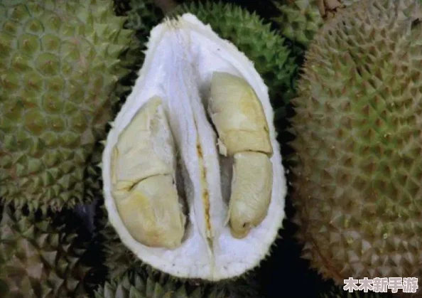 榴莲视频成人背后的文化现象与社会影响探讨