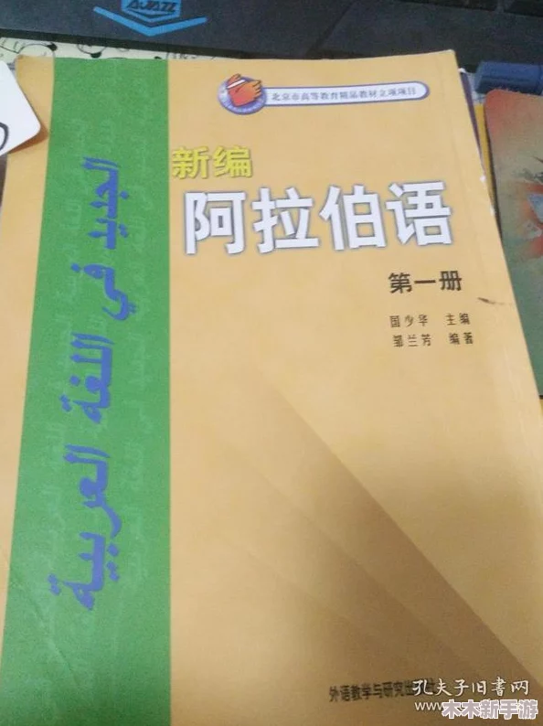 通过丰年经继拇中文3与其他教材比较深入解析学习效果与应用