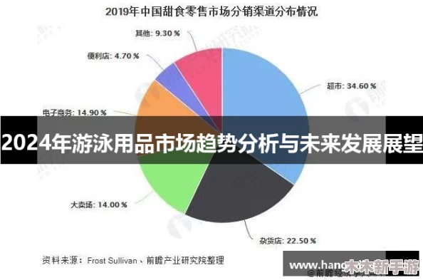 大纲手游泳装网站：分析其市场趋势与用户体验的深度见解
