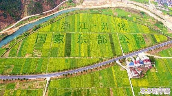 探索江南百景图：宁波府特色物产全览与详细解析