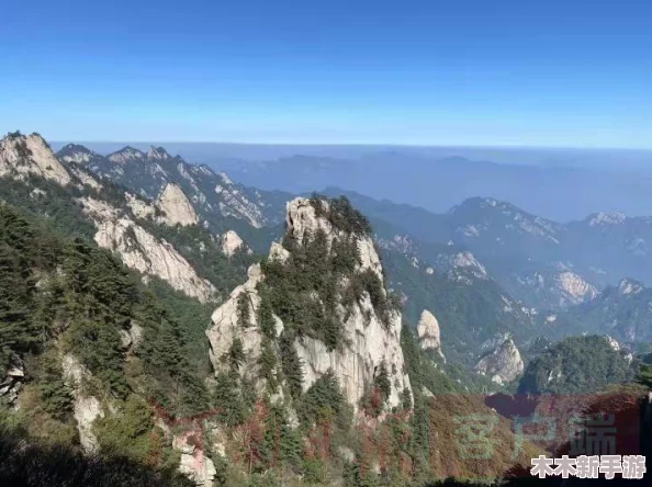 决战之域：探秘奇妙仙子的传奇故事与非凡能力介绍