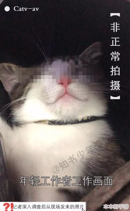 黑料黄色：网友热议这部影片的情节设定，认为其突破了传统界限，引发了广泛讨论与争议