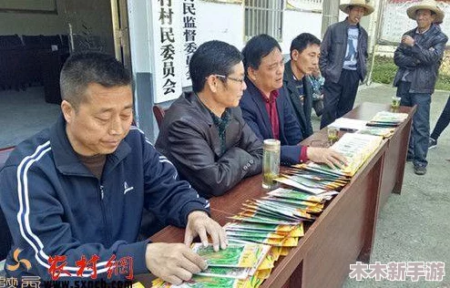 红桃国产：探讨中国在红桃种植与生产领域的创新发展及其对市场的影响和未来前景