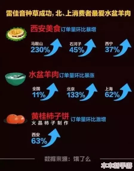 银血莱夏：性能评测与用户口碑全方位探索分析