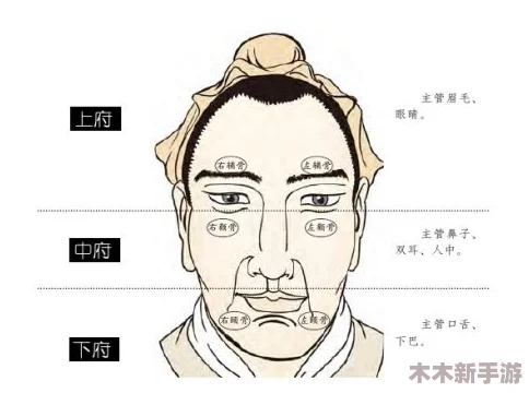 男生女生一起相嗟嗟嗟2024，网友纷纷表示：“这个标题真有趣，期待更多精彩内容！”