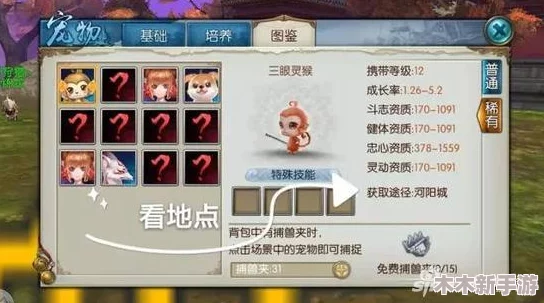 神仙道五阶鱼类宠物兑换详解：揭秘需要多少仙令才能拥有