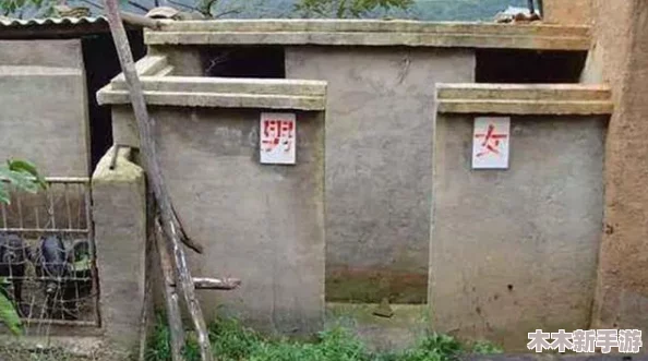 理解偷拍老式旱厕女人大白屁股现象背后的社会文化与隐私权问题