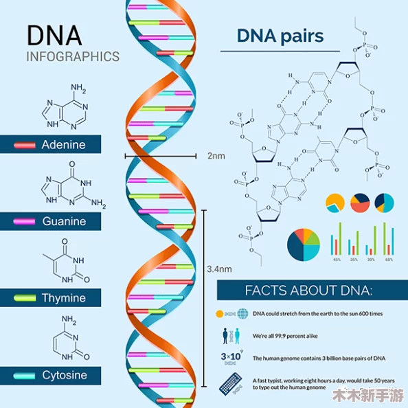人与猪的DNA：探讨人类与猪在基因层面的相似性及其对医学研究和生物技术的重要意义