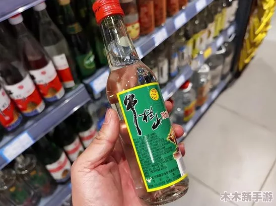 黑神话系列美酒终极收集指南：黑色传奇佳酿全图鉴，尊享品鉴之旅记录册