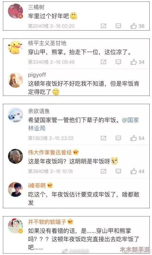 黑土ちゃんが人気の原因：网友热议她的可爱形象与独特个性，纷纷表示“真是太喜欢了！”