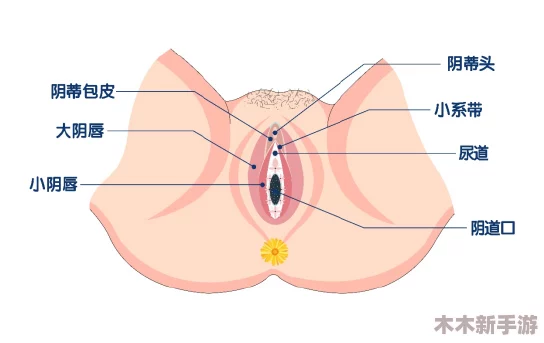 女人巨大荫蒂勃起后，网友热议：这究竟是生理现象还是医学奇迹？让我们一起看看大家的看法！