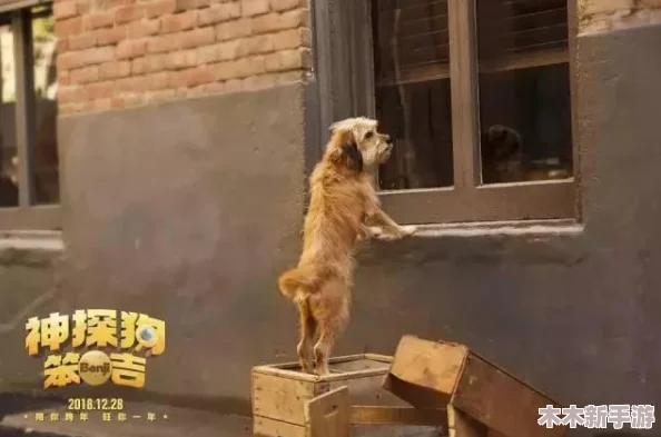 《神探狗狗：爪不可及》动作休闲新体验，跨平台冒险之旅即将震撼登陆！