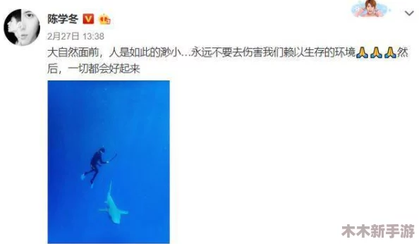 钶钶钶钶钶钶钶免费下载：了解这一独特资源的获取方式与应用价值，助你更好地利用相关信息
