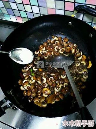 星球重启：探索香螺美味食谱与隐秘采集地点指南